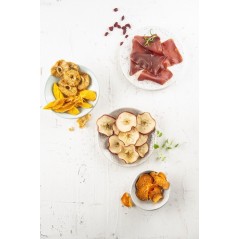 "FRITEL Family Food Dehydrator Silver/Gray - Preserve Freshness & Flavor with Style!"